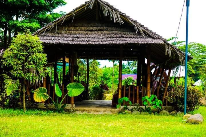 Tiu Batu Homestay Alas Exterior photo